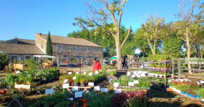 foire-aux-fleurs Mouriès 01/05/2026
