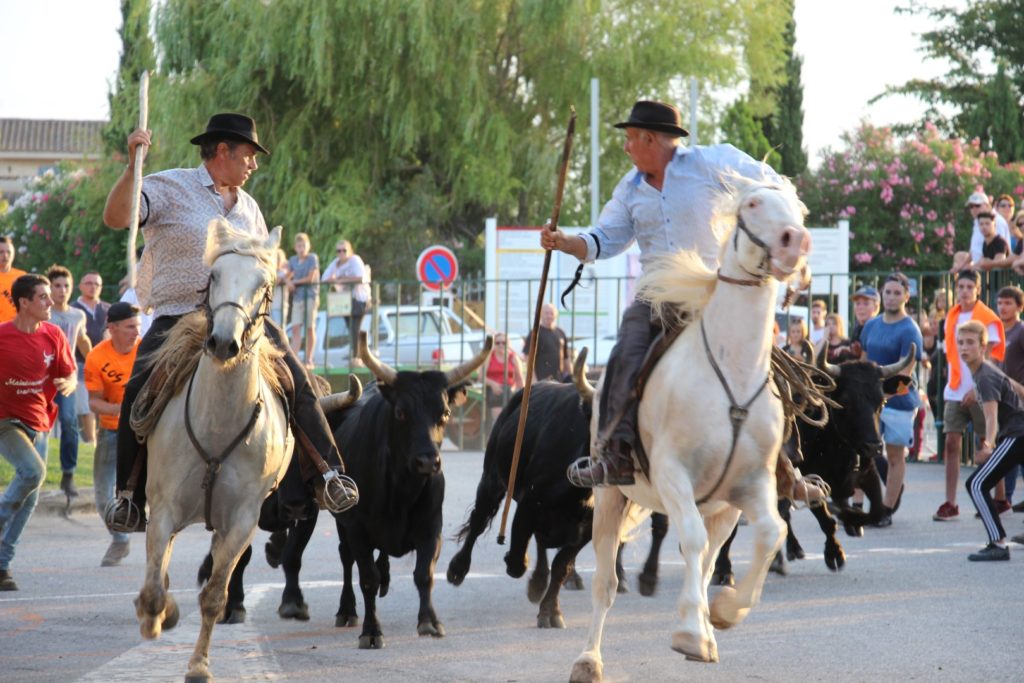 Fête votive de Saint Martin de Crau Journal Farandole
